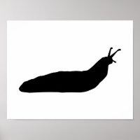 Snail slug