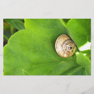 snail stationery