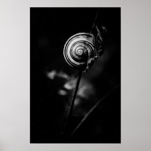 snail tail poster