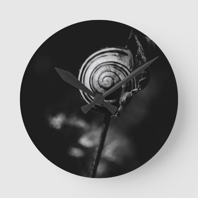 snail tail round clock (Front)