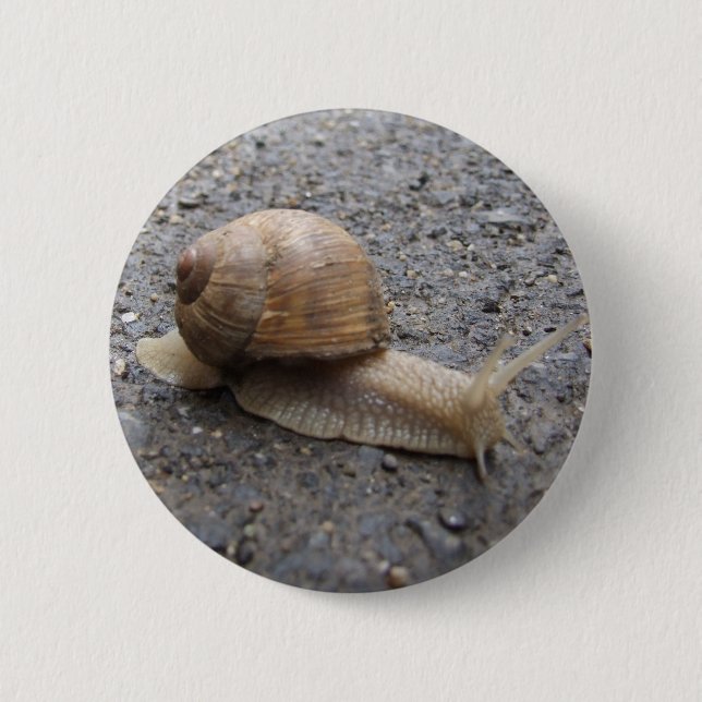 snail walk 2 inch round button (Front)