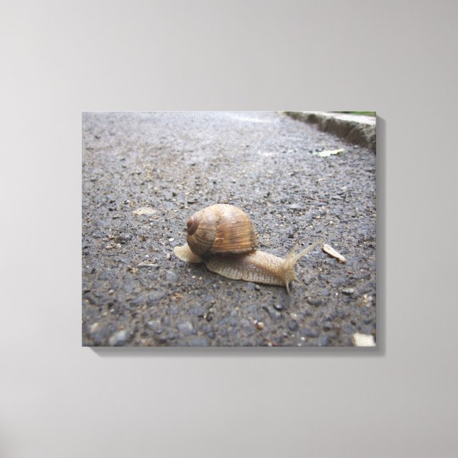 Snail walk canvas print (Front)