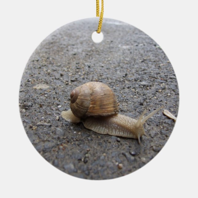 snail walk ceramic ornament (Front)