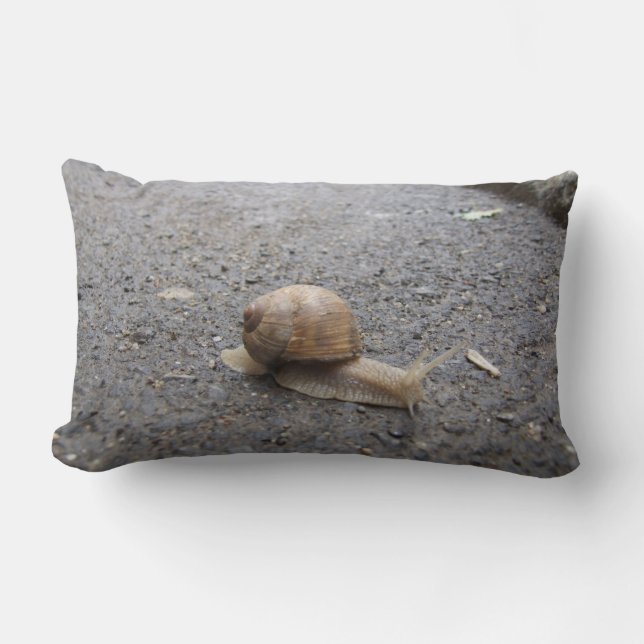Snail walk lumbar pillow (Front)