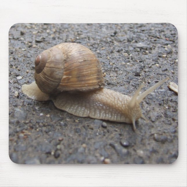 snail walk mouse pad (Front)