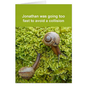 Snails card