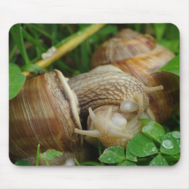 Snails Love Kiss Mousepad (Front)