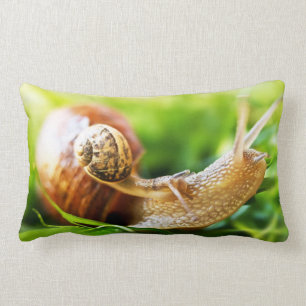 Snails Lumbar Pillow