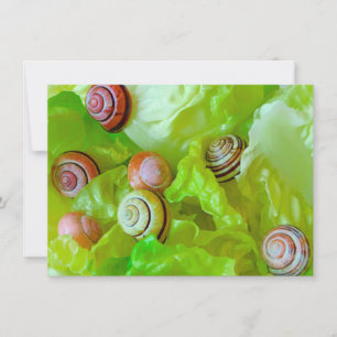 Snails on lettuce Card