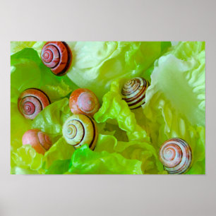 Snails on lettuce poster