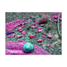 SnailShell postcard
