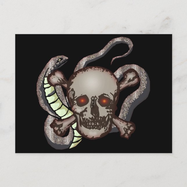 Snake and Skull Biker T shirts Gifts Postcard (Front)