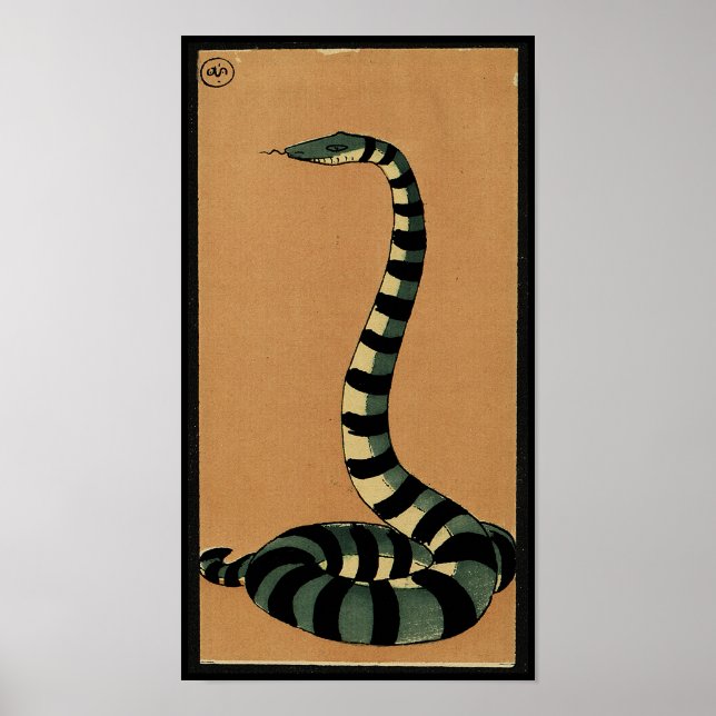 Snake - Antiquarian, Colourful Book Illustration Poster (Front)