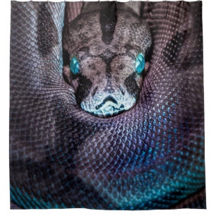 Snake boa anaconda python reptile snakeskin