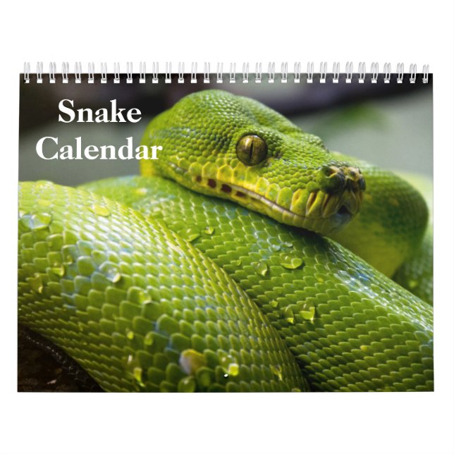 Snake Calendar 2026 (Cover)
