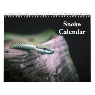 Snake Calendar 2026