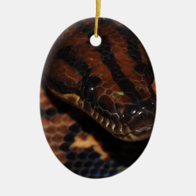 Snake Ceramic Ornament (Front)