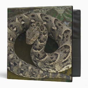 Snake Charmer's African Puff-adder Bitis Binder