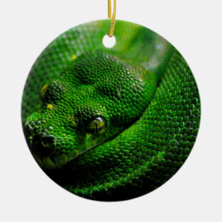 Snake Country Ceramic Ornament