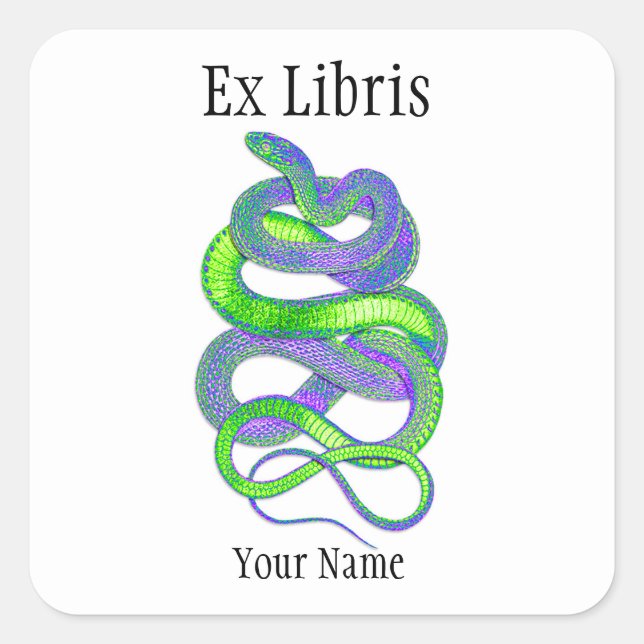 Snake Ex Libris Bookplates, Customizable Square Sticker (Front)