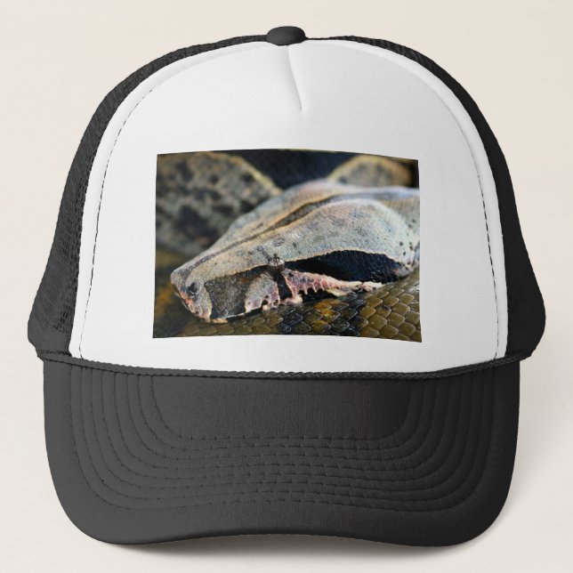 Snake eyes boa constrictor trucker hat (Front)
