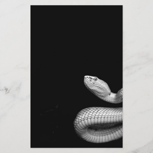 Snake Flyer (Front)