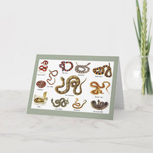 Snake Greeting Card