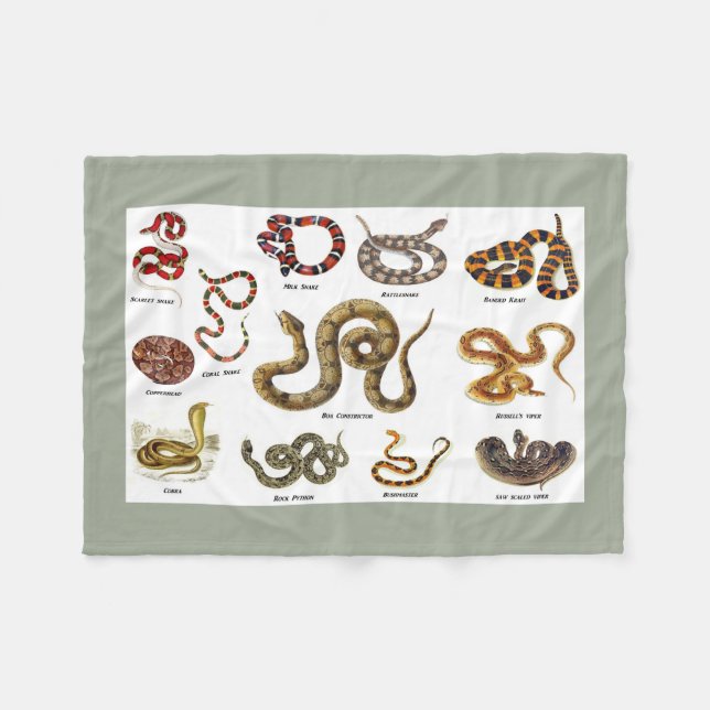 Snake Identification Blanket (Front (Horizontal))
