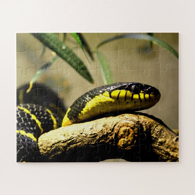 Snake Jigsaw Puzzle (Horizontal)