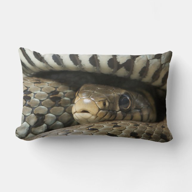 Snake Lumbar Pillow (Front)