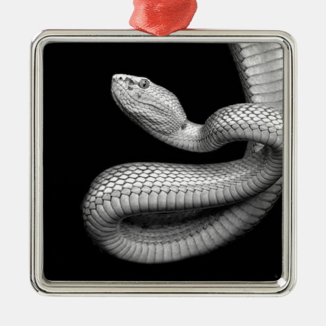 Snake Metal Ornament (Front)