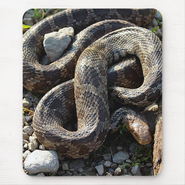 Snake Mouse Pad (Front)