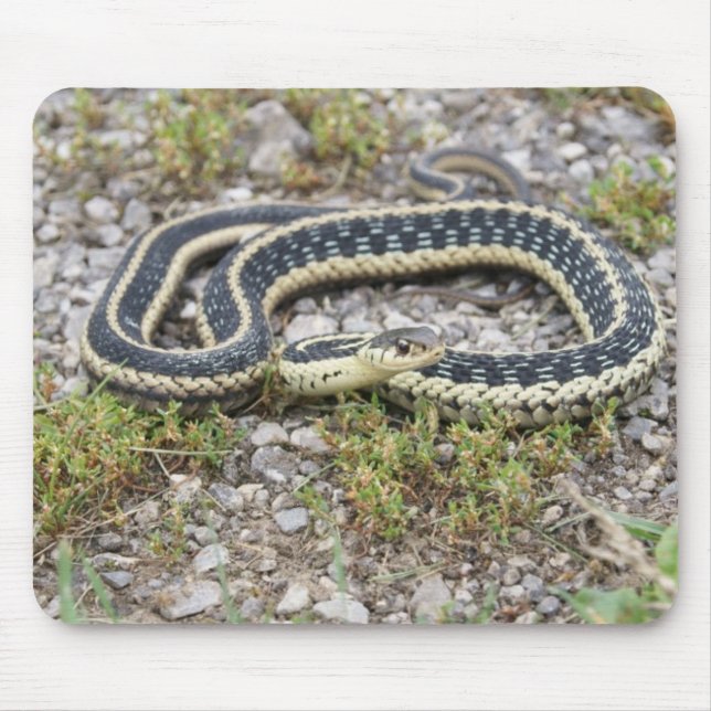 Snake Mousepad (Front)