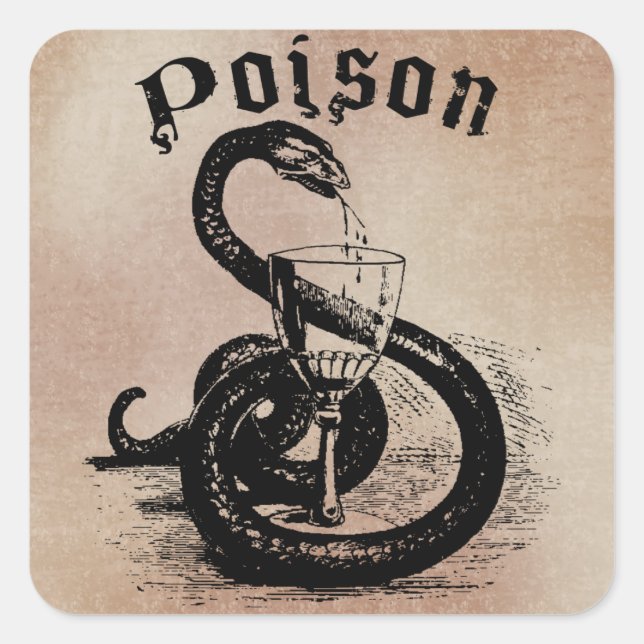 Snake Poison Halloween Gothic Square Sticker (Front)