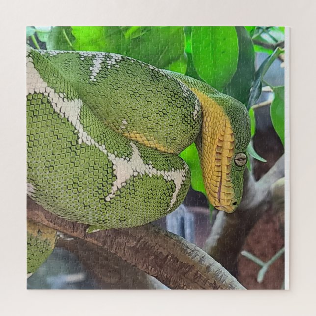 Snake Puzzle (Vertical)