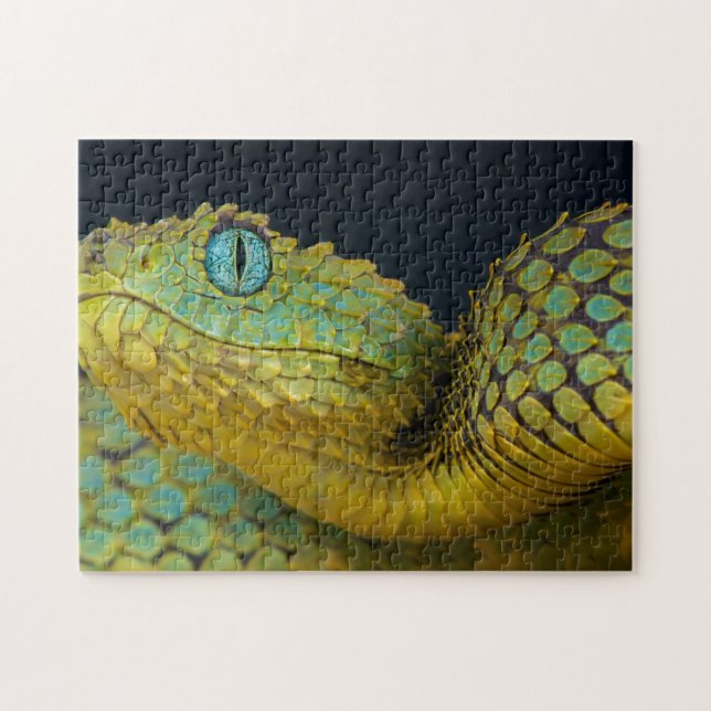 Snake Puzzle- Beautiful Green Jigsaw Puzzle (Horizontal)