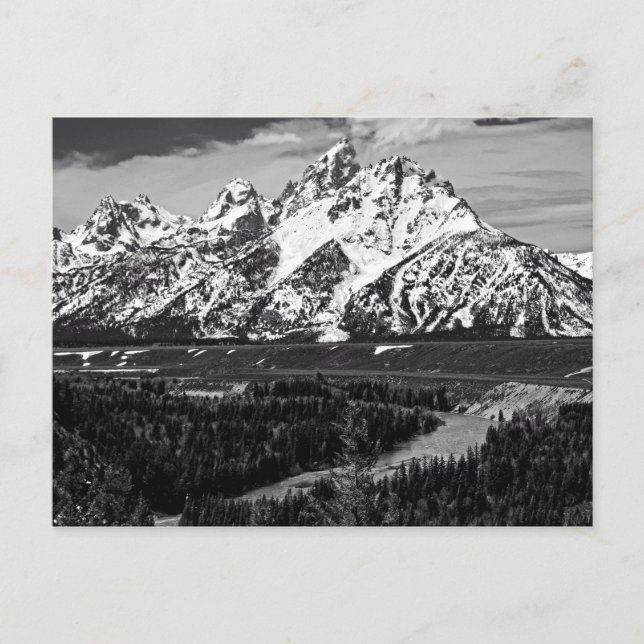 Snake River Curve - The Grand Tetons Postcard (Front)