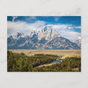 Snake River Overlook Postcard