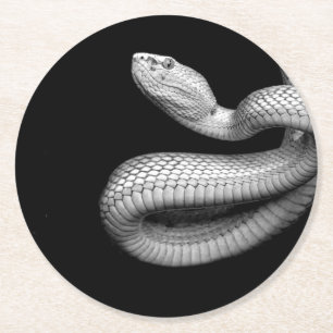 Snake Round Paper Coaster