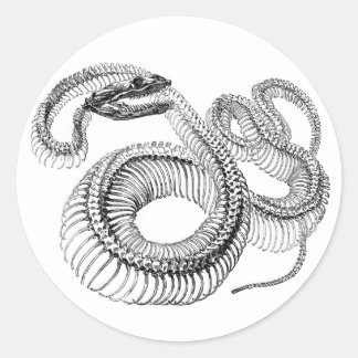 Snake Skeleton Stickers