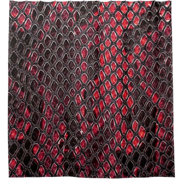 Snake skin: abstract background. (Front)