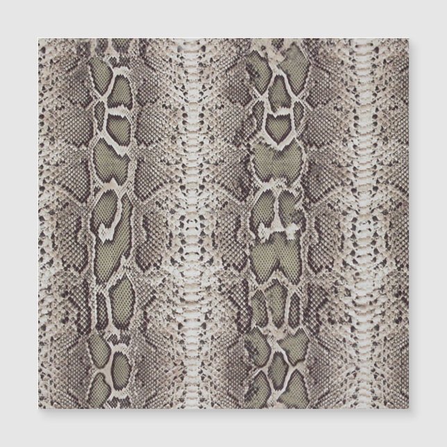 Snake Skin Animal Print (Front)