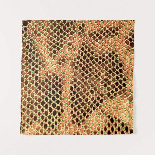 Snake skin background tapestry (Front)