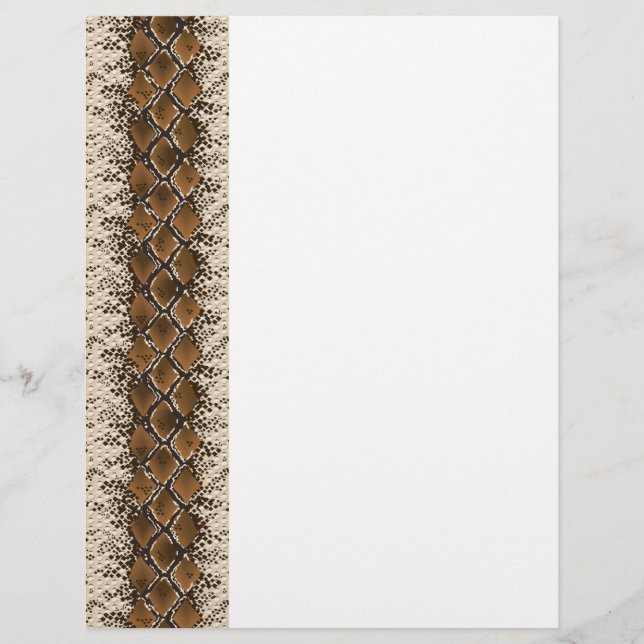 Snake skin flyer (Front)