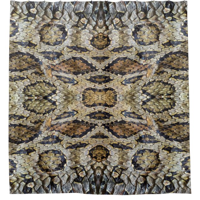 Snake Skin Pattern Texture (Front)