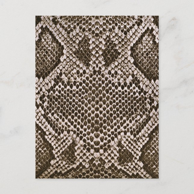 Snake skin postcard (Front)