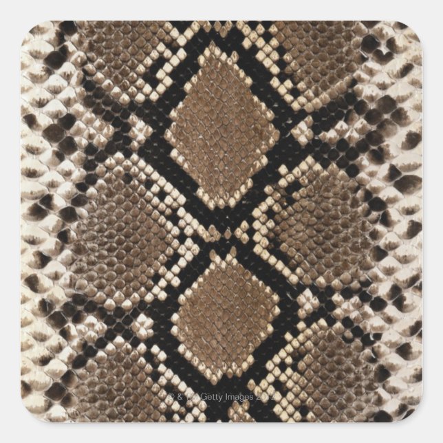 Snake Skin Square Sticker (Front)