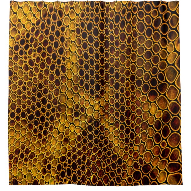 Snake Skin Texture Background (Front)