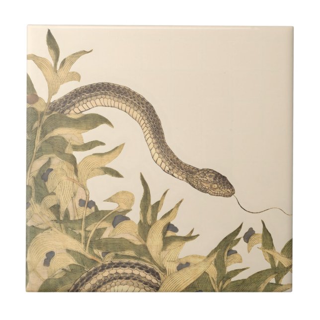 Snake Vintage Cream Tile (Front)