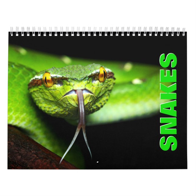 Snakes [1] Wall Calendar (Cover)